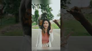 포유말레이시아 시티 반딧불 투어 #shorts #말레이시아 #말레이시아여행 #코타키나발루 #쿠알라룸푸르 #한달살기 #쿠알라룸푸르여행