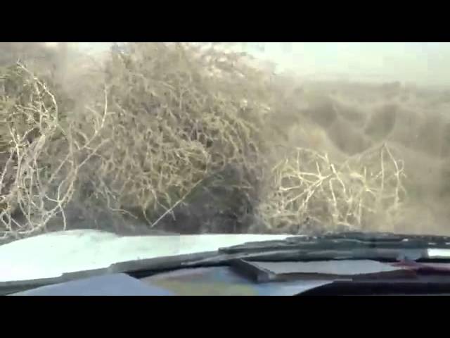 Monster Tumbleweeds Are Trapping People in Cars and Homes - Sunset