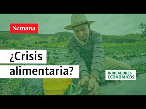 Advierten crisis alimentaria en América Latina y el Caribe