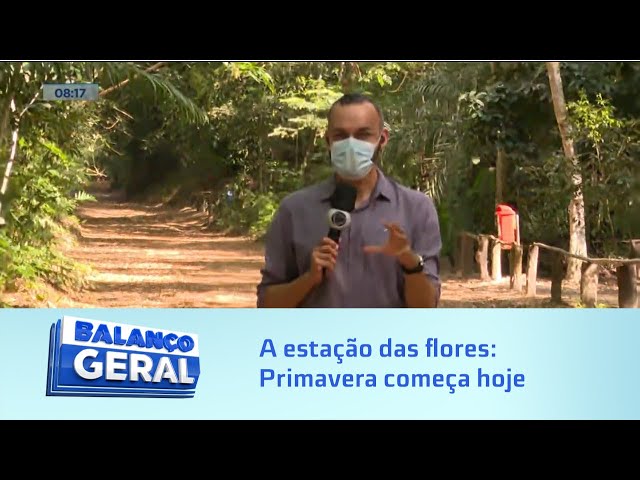 A estação das flores: Primavera começa ás 16:21