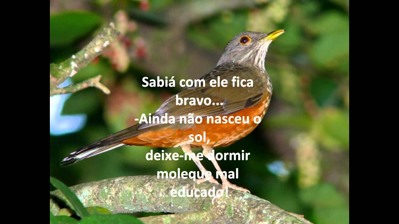 Onde Canta O Sabiá Cifra - RETOEDU