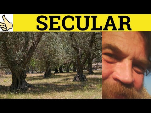 🔵 Secular - Secular Meaning - Secular Examples - Secular Definition