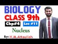 Nucleus  chapter 4  9th class biology  lec11