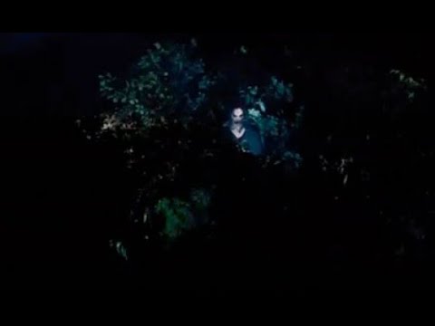 The Ghost in Bushes Scene| 4K Ultar HD| Sinister (2012)