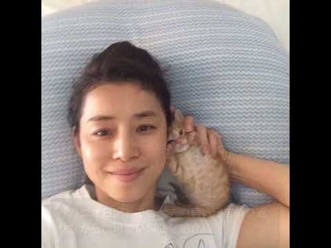 石田ゆり子と可愛い猫たちの癒しの日常