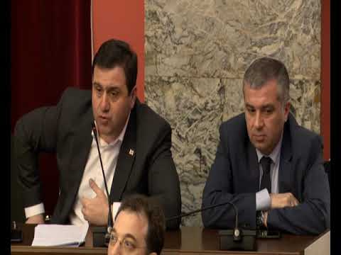 ლევან კობერიძე ბიოდეგრადირებადი პარკების წარმოების შესახებ (12.04.2019)