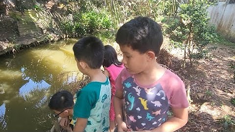 Miền Tây Quê Hương Là Tuổi Thơ Ký Ức