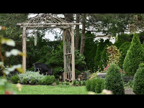 Garden Walk and New Roses Update, First Year
