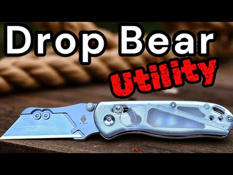 A New Version Of A Classic Budget Knife! The Kizer Drop Bear Utility Folder Full Review