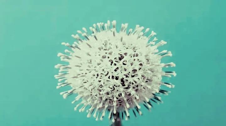 "VIDEO ART" - A Short Video by Jared Tennant