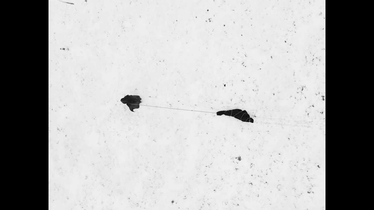 Voyvoda – No Friends But The Mountains (Ji çiyan pê ve tu heval nînin)