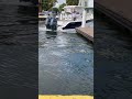 Yamaha F-150 Twins Testing