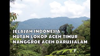 Jelajah Hutan Lokop Aceh Timur