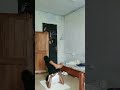practicing some yoga basics| body control and movement #fitness #yogapractice #yoga