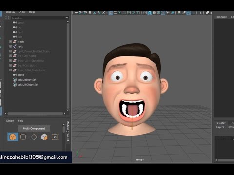 Script rig lip eye brows
