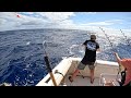 Tuna ono marlin  mahi mahi deep sea fishing in hawaii