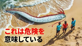 災害が発生する前に命を救えるかもしれない警告サイン