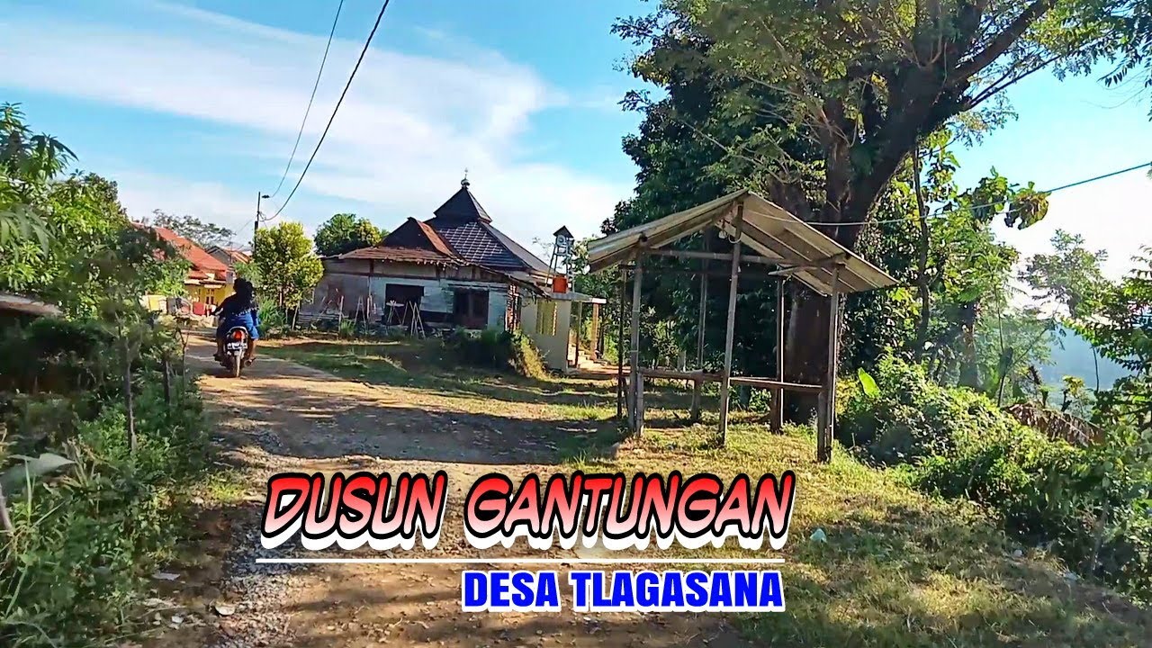 Jalan jalan menuju Gantungan desa Tlagasana Watukumpul