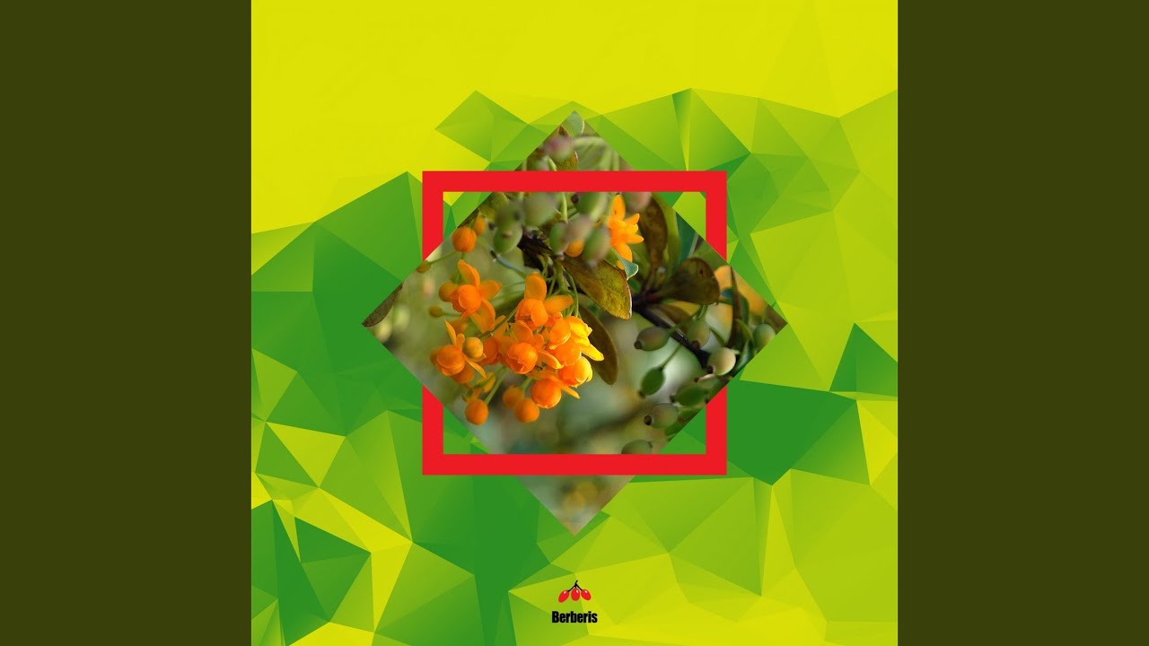 Watch Difractia (Original Mix) on YouTube Watch Difractia (Original Mix) on YouTube