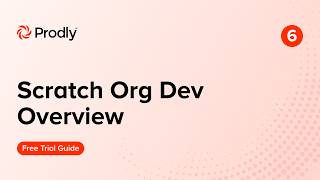 06 Usage Guide - Scratch Org Dev Overview