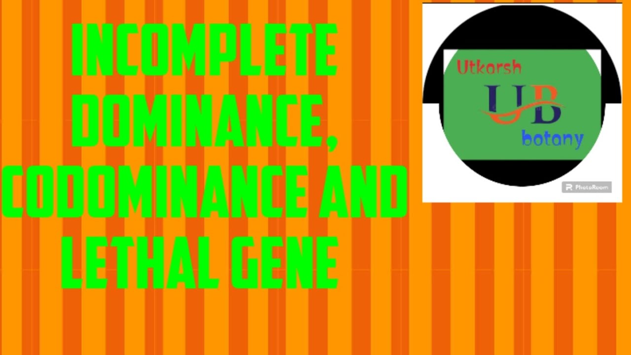 incomplete dominance, codominance, lethal gene