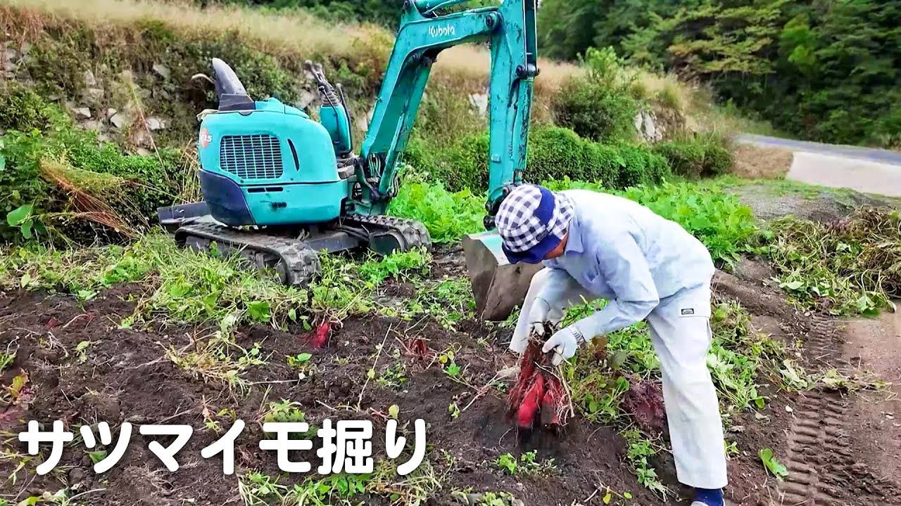 Country Living in Japan: A Peaceful Life at 70 - YouTube