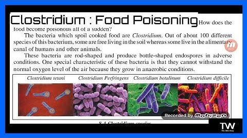 Useful and Harmful Microbes : Clostridium Food poisoning, SSC Std 9th