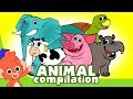 Learn Animals for Kids | Animal Cartoon Compilation for Children | Zoo Cartoon Cartoons