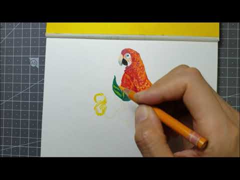 ASMR -색연필드로잉,Colored pencil drawing easy_89/빛나는 앵무새-Bright Parrot #앵무새 그리기 #앵무새 그림 #쉬운 그림 #그림 쉽게 그리기