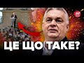 🤬НОВИЙ СКАНДАЛ! Орбан відкрито ПОКАЗАВ ставлення до України, знайшов однодумців…