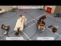 DM Massage - FINALE