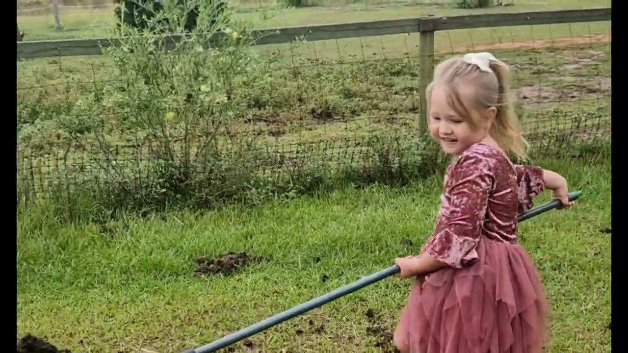 Our Morning Routine with the Horses 🐴