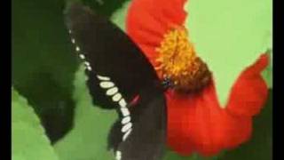 Test1