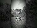 #hiitcardioworkout