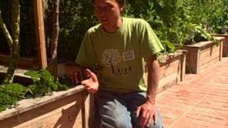 How tall should I build my Raised Bed Garden? How high should the soil be? John from http://www.growingyourgreens.com answers the question how high should I build my raised bed vegetable garden. John