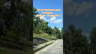 #утродоброе   #божья #верь #позитивнаенергія #изобилие .  Не истощилась✋ Господня.  #библияговорит