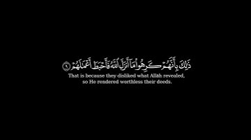 كرومة شاشة سوداء بصوت الشيخ #عادل_ريان#سورة_محمد