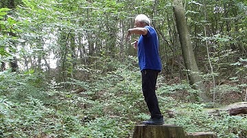 Microcosmic Orbit with Trees - Turning the Wheel Microcosmic Orbit QiGong 6/8