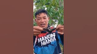 THE BURUNG BUNGA IS FAMOUSLY DELICIOUS AND VERY RARE #shorts