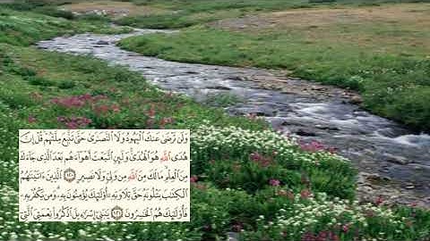 صفحة-19- page سعد الغامدي -سورة البقرة