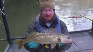 2014 Walleye Fishing Forecast and Tips for Success
