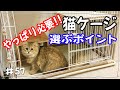 【猫ケージ必要？？】アイリスオーヤマキャットケージ3段使用レビュー!! 選んだポイントを紹介！