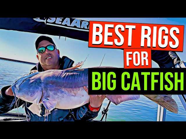 Best Catfish Rigs For BIG CATFISH (and How To Tie Them) 