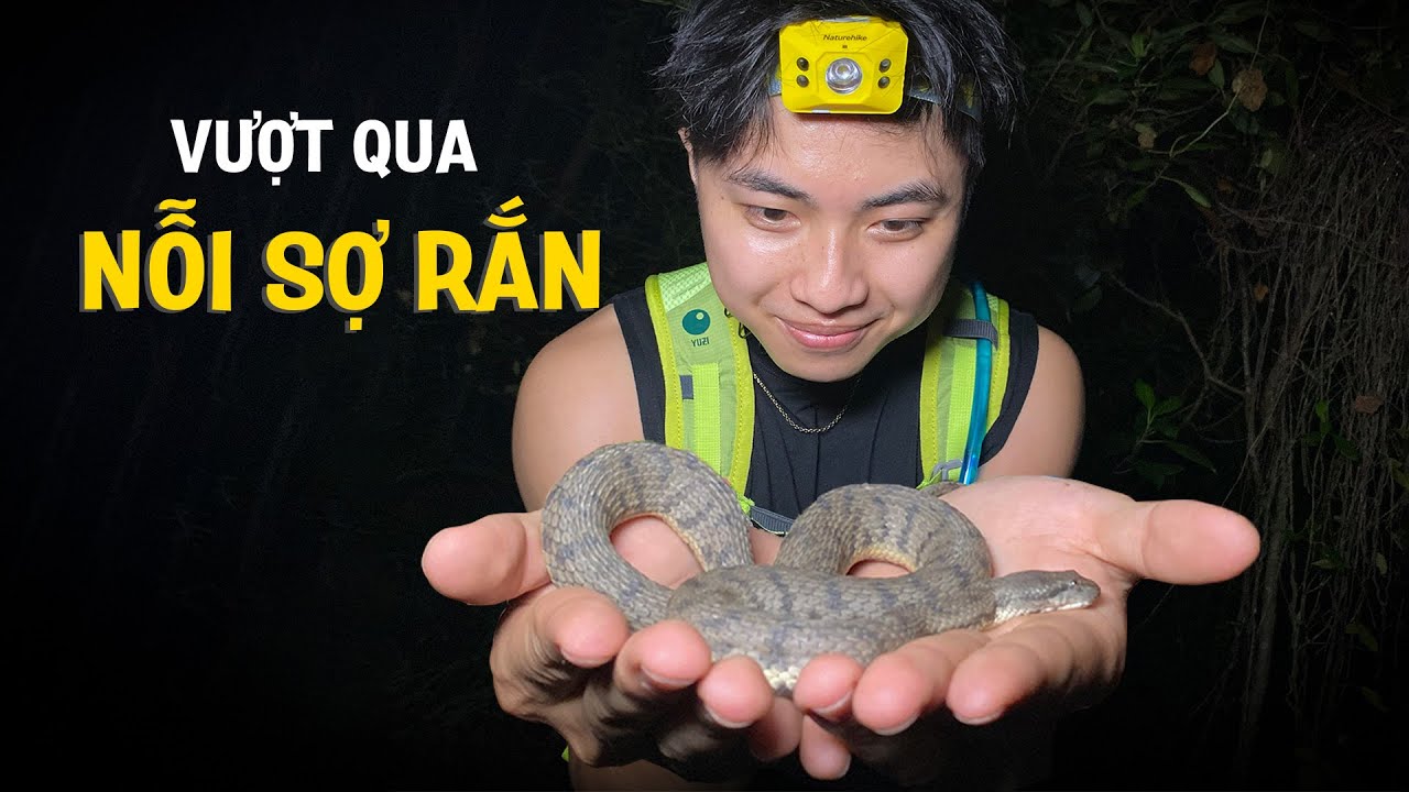 Chinh phục NỖI SỢ RẮN, vượt ra vùng an toàn - YouTube