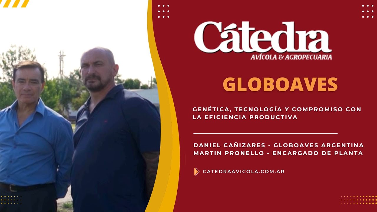 Globoaves Argentina: genética, tecnología y compromiso con la eficiencia productiva