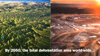 Did You Know Comaster