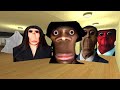 POV HI MY NAME IS AUUGHH OBUNGA ROSHALIA AND CRAZT NEXTBOTS #gmod #nextbots