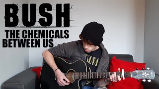 Bush - The Chemicals Between Us (Acoustic Cover) | Tijs Primo