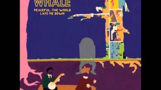 Mary - Noah and The Whale