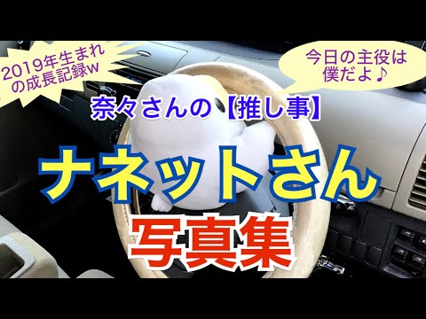 奈々さんの【推し事】ナネットさん写真集（CV_アネリ）